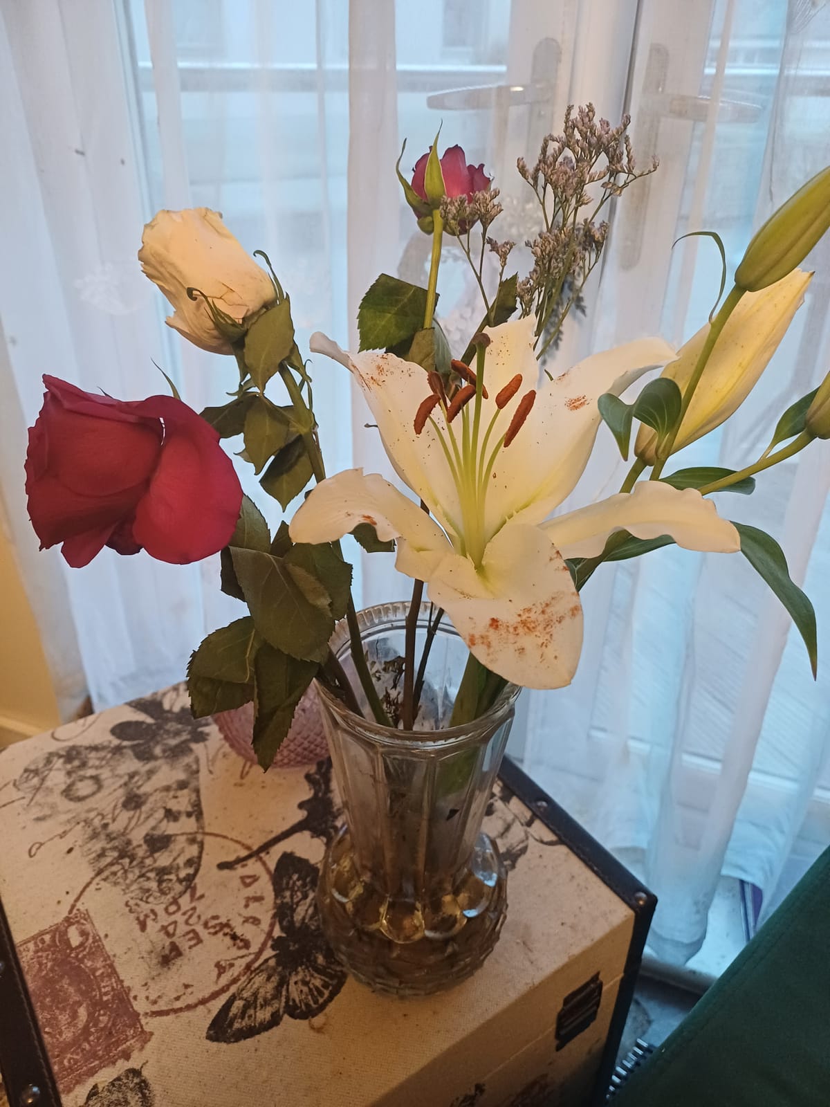 The Lily and the Red Red Rose