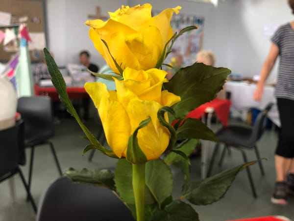 Gallery: CoGS Summer Fayre 2025